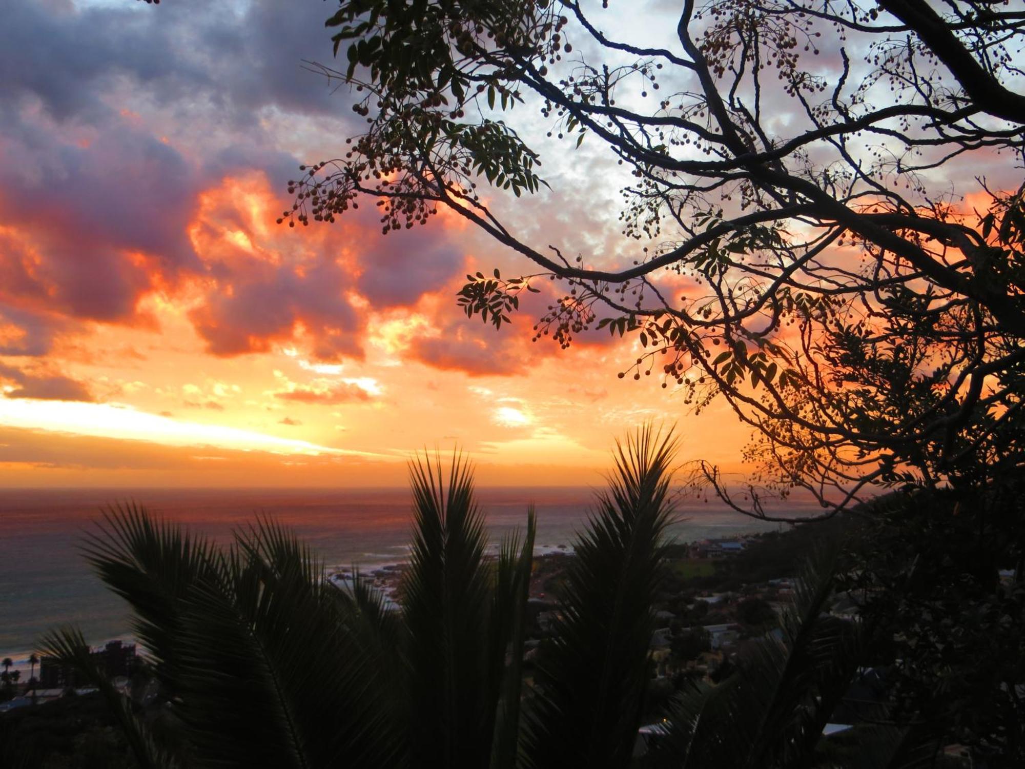 Boutique@10 Bed & Breakfast Cape Town Bilik gambar
